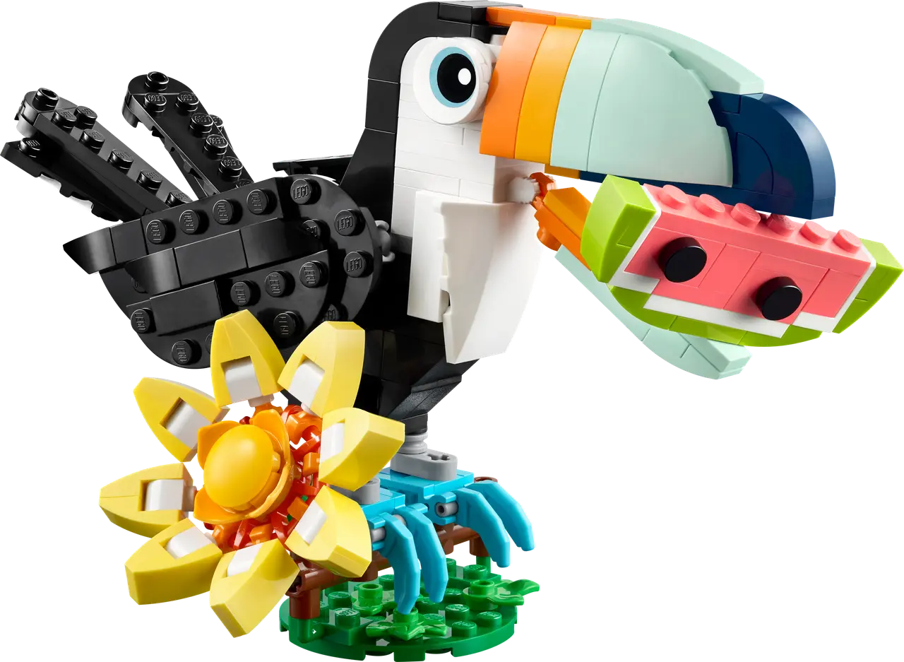 Wild Animals: Tropical Toucan