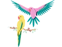 Macaw Parrots