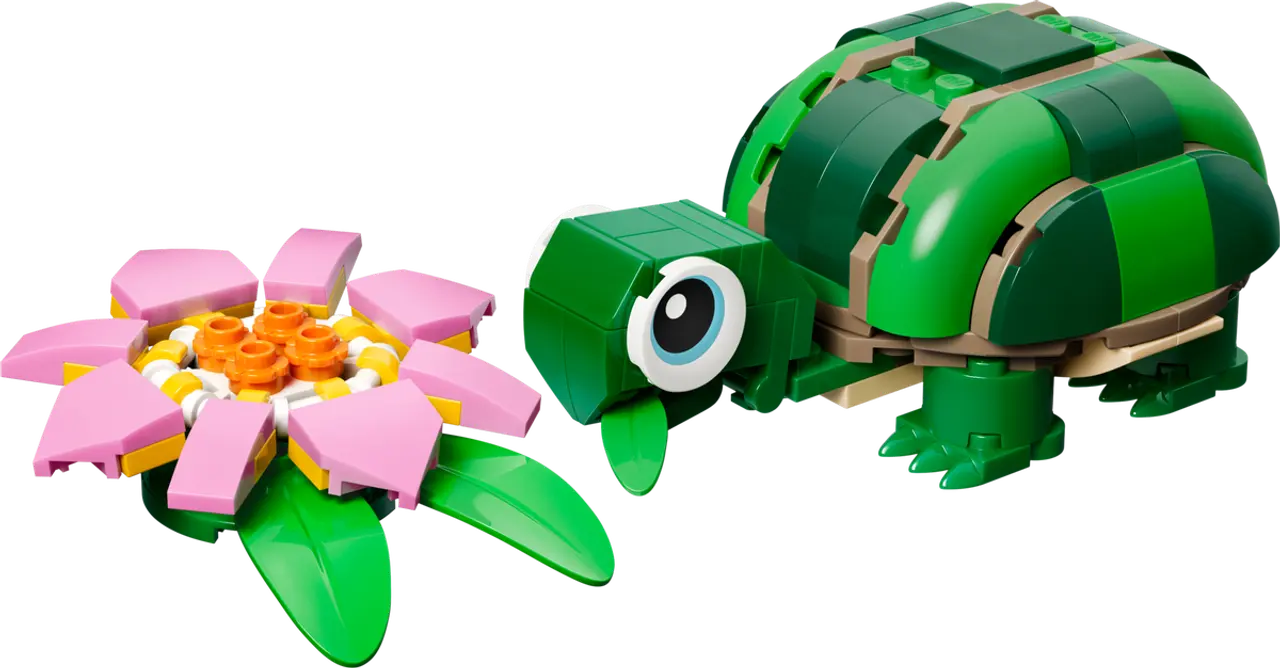Turtle with a Water Lily Flower