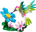 Wild Animals: Colorful Hummingbird