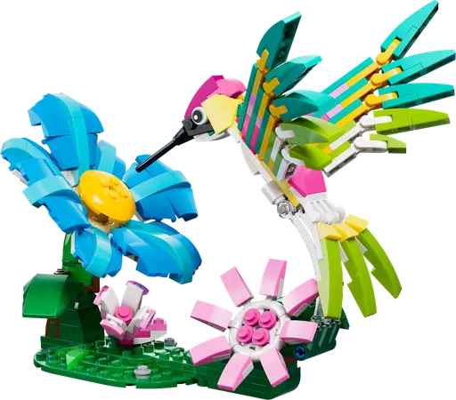 Wild Animals: Colorful Hummingbird