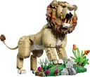 Wild Animals: Majestic Lion