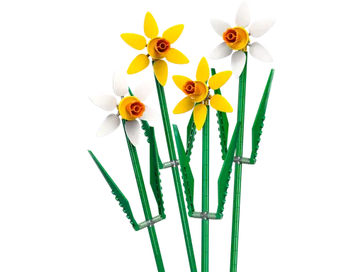 Daffodils
