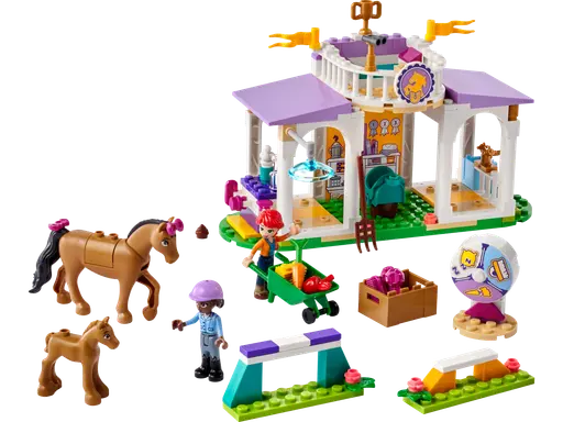 Horse Training
