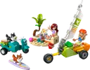 Surfing Dogs and Scooter Adventure