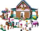 Horse Stable and Riding Academy