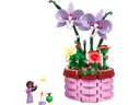 Isabela's Flowerpot