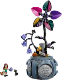 Sally's Flowerpot