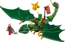 Lloyd's Green Forest Dragon