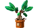 Mandrake