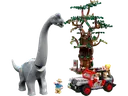 Brachiosaurus Discovery