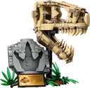 Dinosaur Fossils: T. rex Skull
