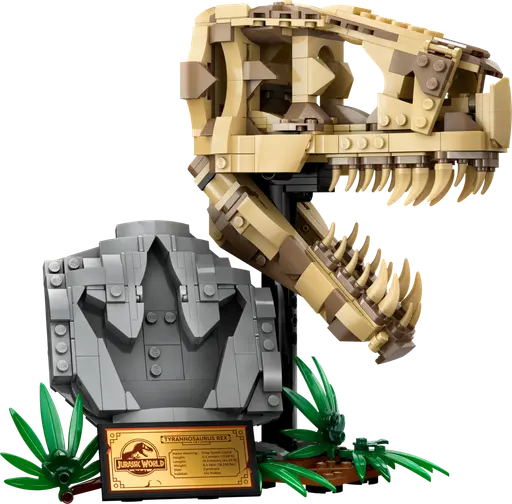 Dinosaur Fossils: T. rex Skull
