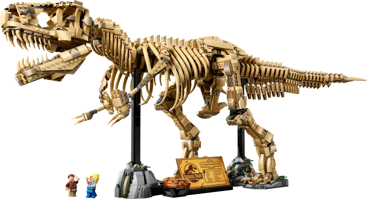 Dinosaur Fossils: Tyrannosaurus Rex