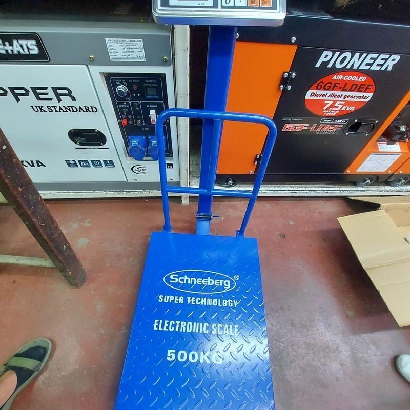 Schneeberg Platform Weighing Scale