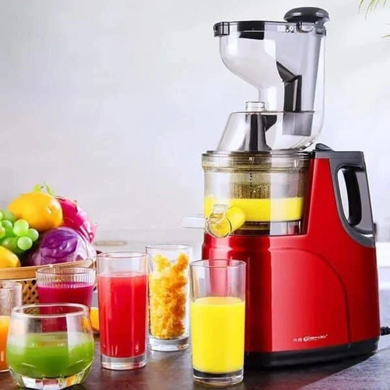 Starlux Slow Juicer SL-21030 (150W)