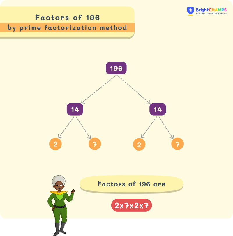 Factors of 196 using factor tree