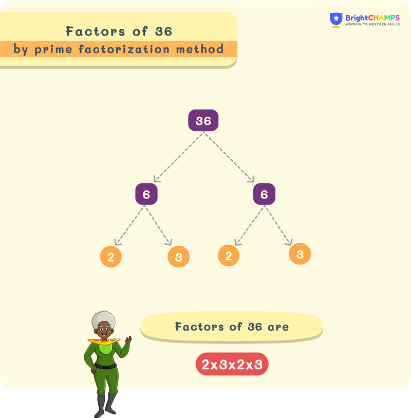 Factors of 36 using factor tree