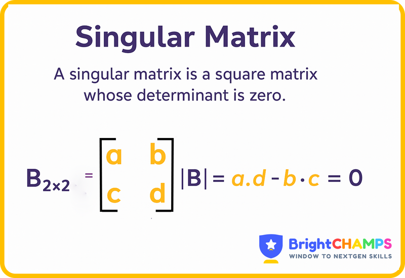 singular matrix