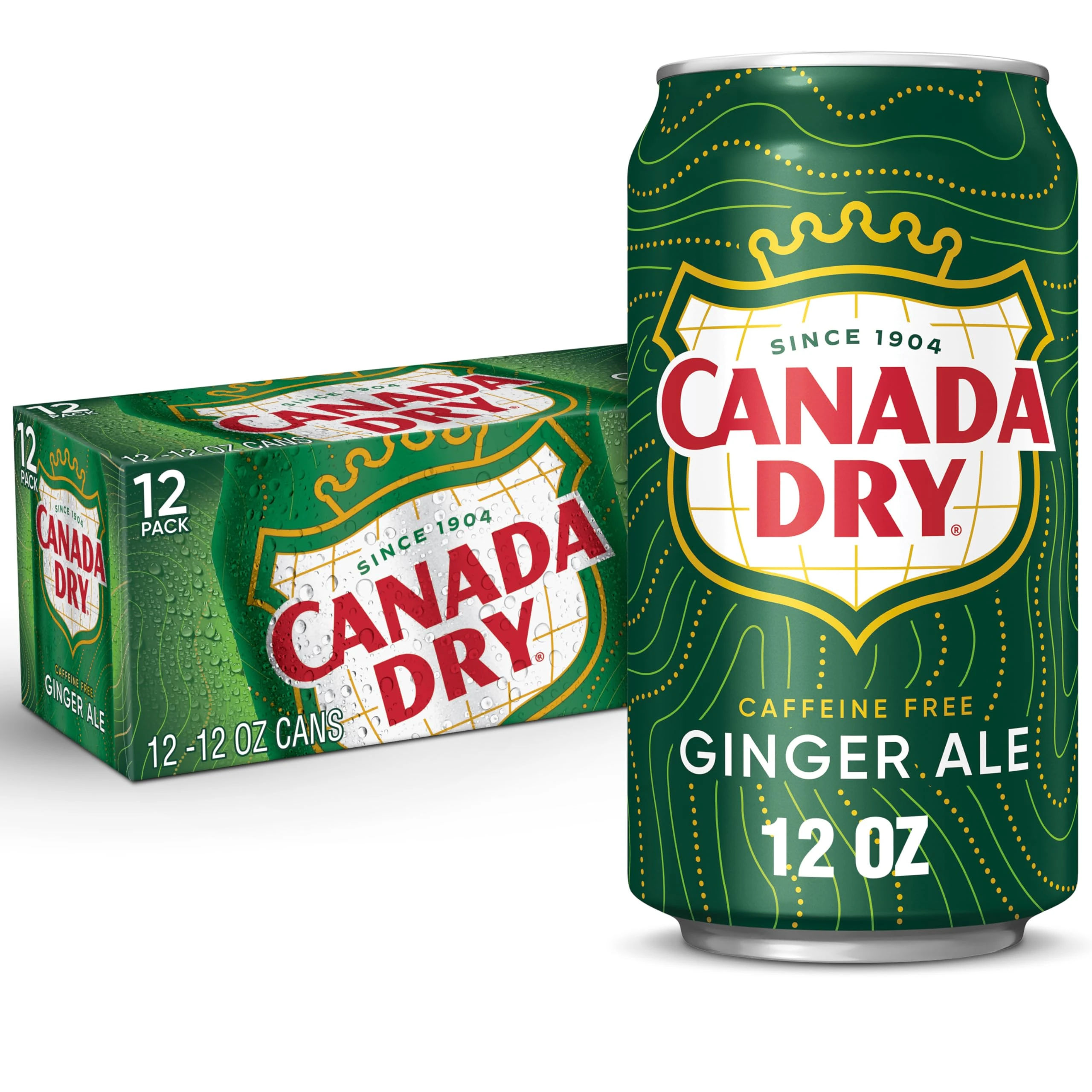 Amazon.com : Canada Dry Ginger Ale Soda, 12 fl oz cans, 12 pack : Everything Else