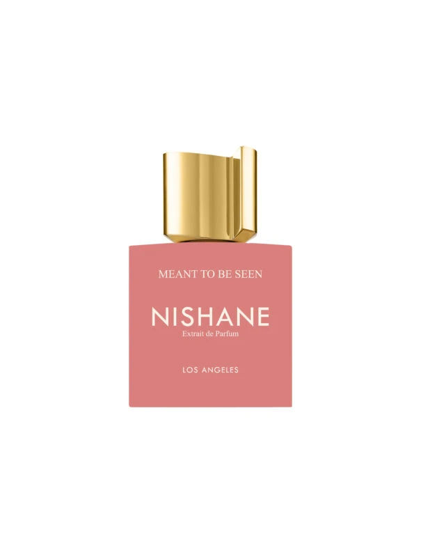 MEANT TO BE SEEN - NISHANE US