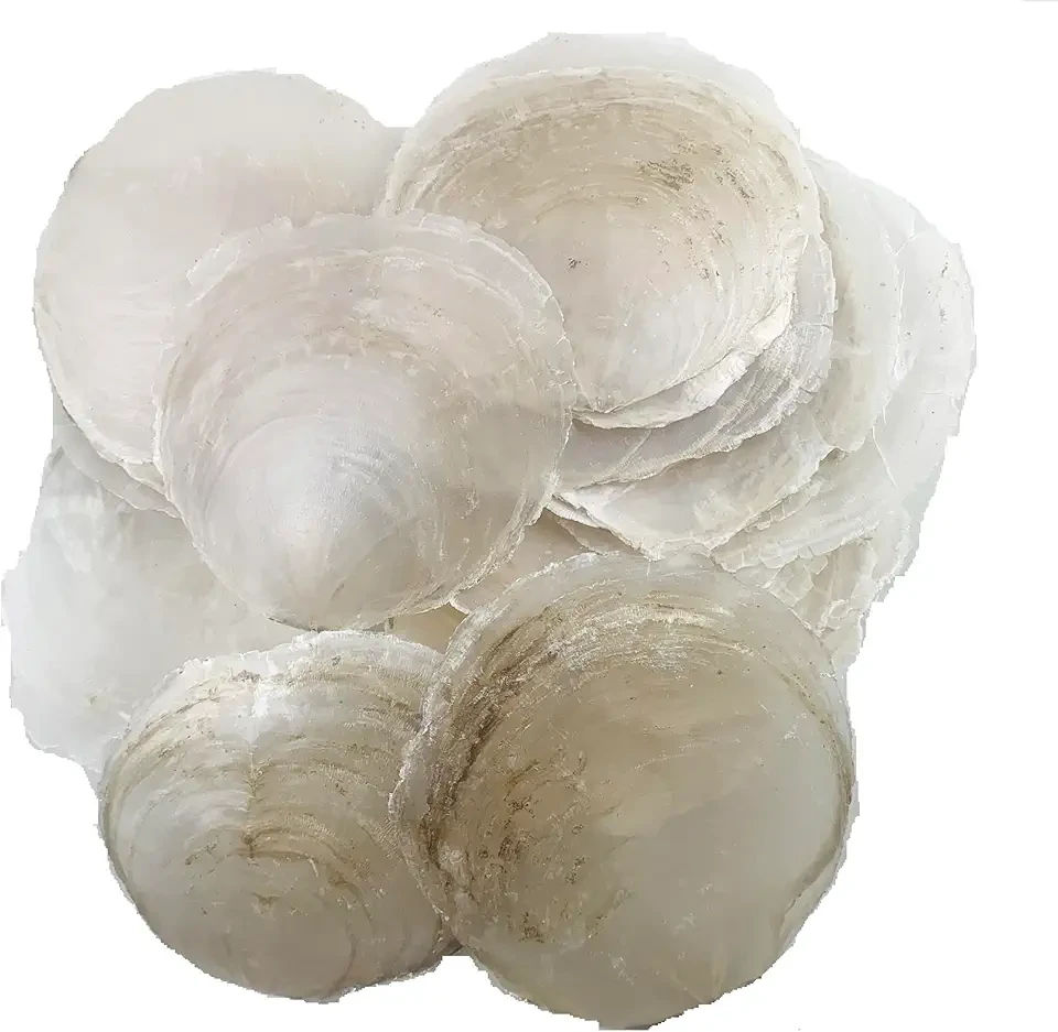 Heyiwell 8OZ Natural Capiz Shells for Shellcraft Projects,Shell Windchimes,Home Decor Capiz Shells Apprx 22 PC 2.75"~4" Inch