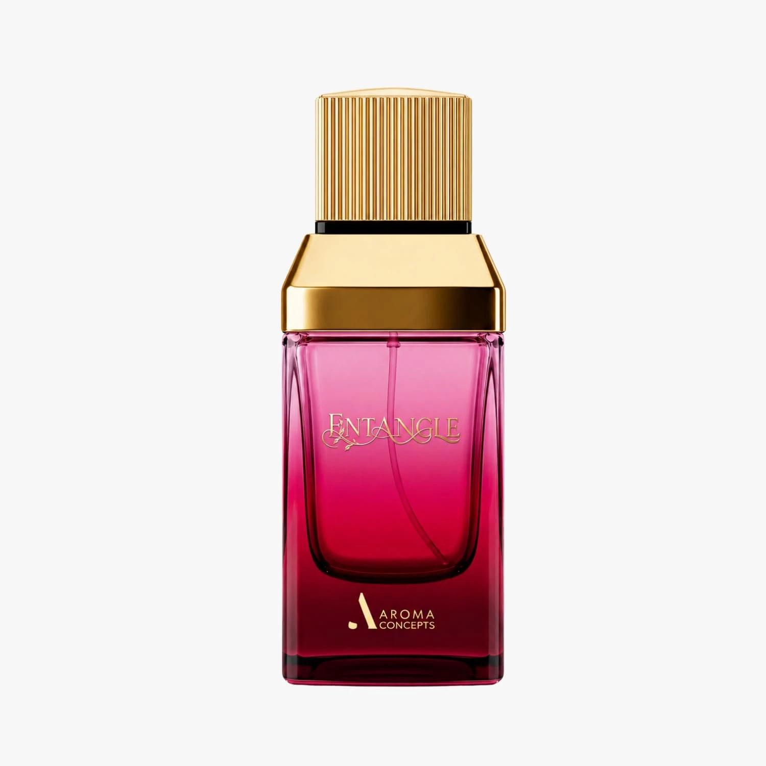 AROMA CONCEPTS Entangle EDP Perfume Women's Fragrance 3.4 Fl Oz