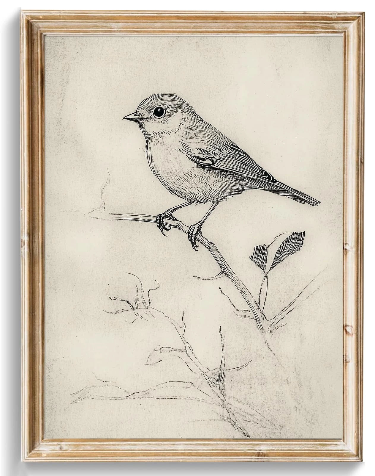 uniro Vintage Bird Sketch Wall Art Prints Farmhouse Decor Sparrow on a Branch Sketch Canvas Oil Painting Antique Bird Neutral Vintage Artwork Pictures for Bedroom Living Room Decor (8" x 10"-UNFRAMED)