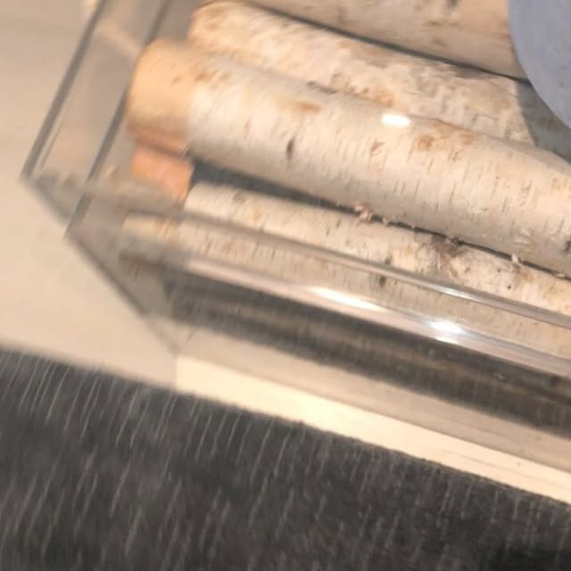 Video by bethennyfrankel