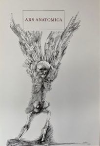 Ars Anatomica Portfolio Plate I