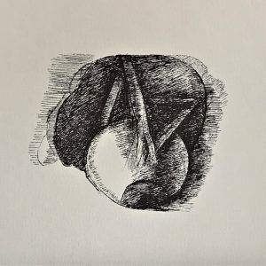 Ars Anatomica Portfolio Plate VII