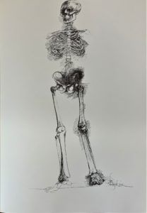 Ars Anatomica Portfolio Plate IX