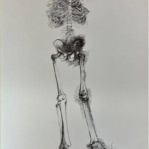 Ars Anatomica Portfolio Plate IX