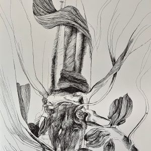 Ars Anatomica Portfolio Plate X