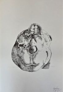 Ars Anatomica Portfolio Plate XI