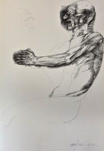 Ars Anatomica Portfolio Plate XII