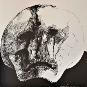 Ars Anatomica Portfolio Plate XIII