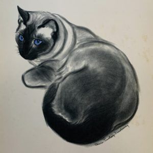 Saroyan, a Siamese