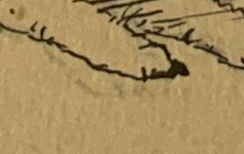 Cats with a Christmas Greeting - Image 3