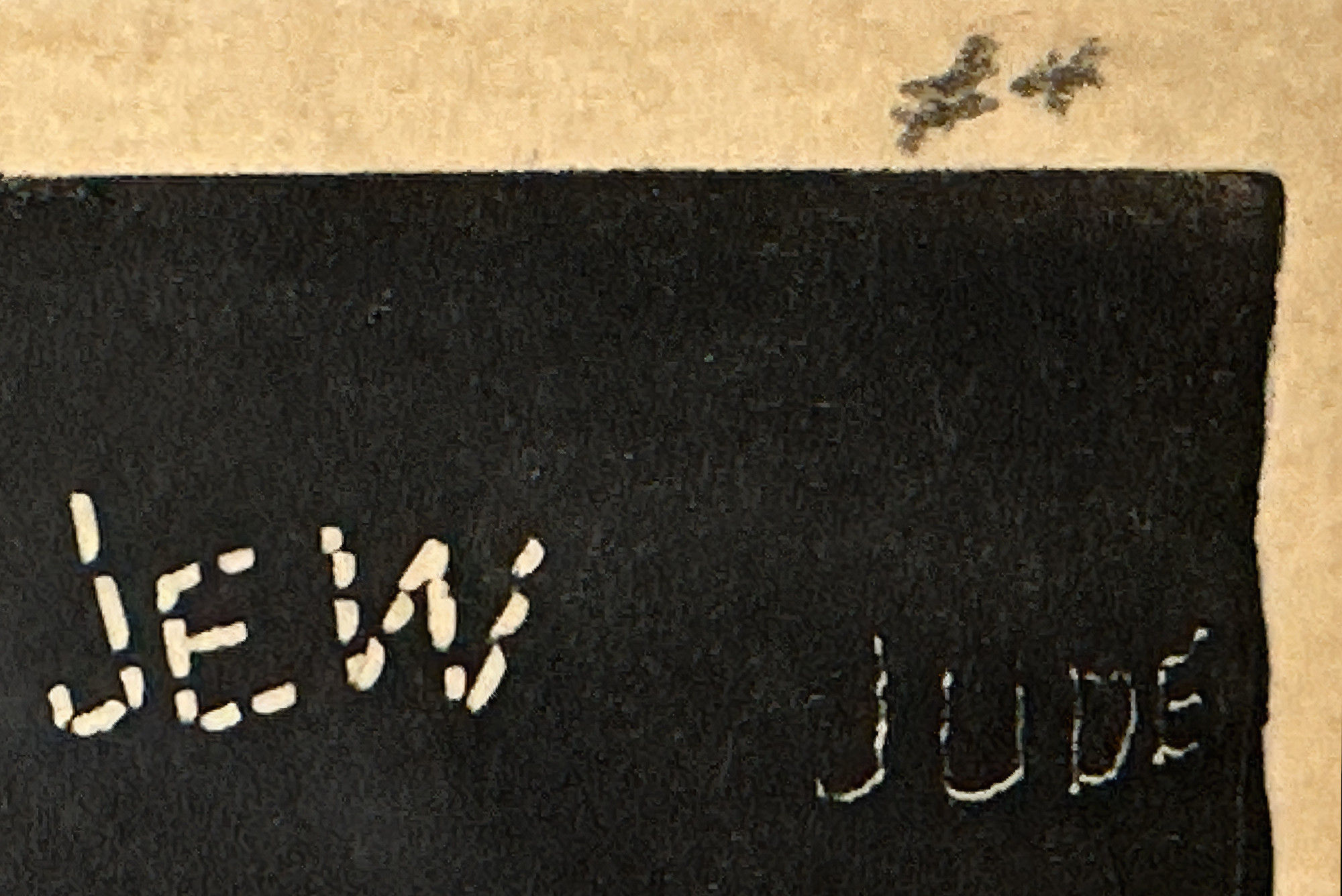 We Shall Live [Wir Wollen Leben] - Image 5