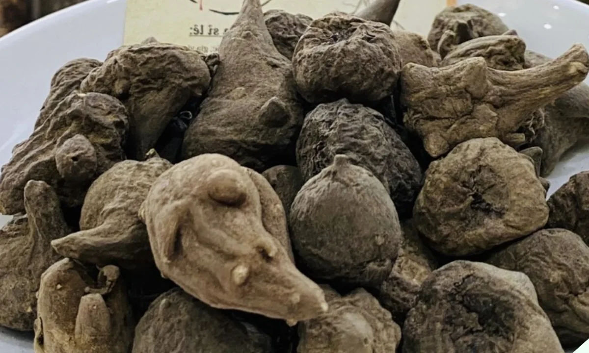 Ấu tẩu có vị cay, đắng, tê, tính rất nóng và có độc tính mạnh