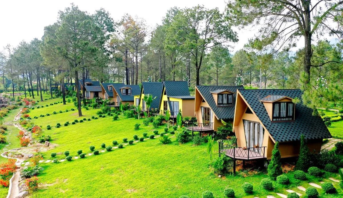 Camping area at Ban Ang pine forest spacious and cool suitable for relaxation