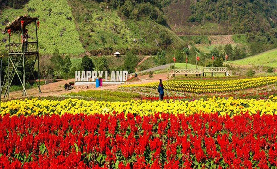 Happy Land in Moc Chau with colorful flower gardens and open plateau scenery