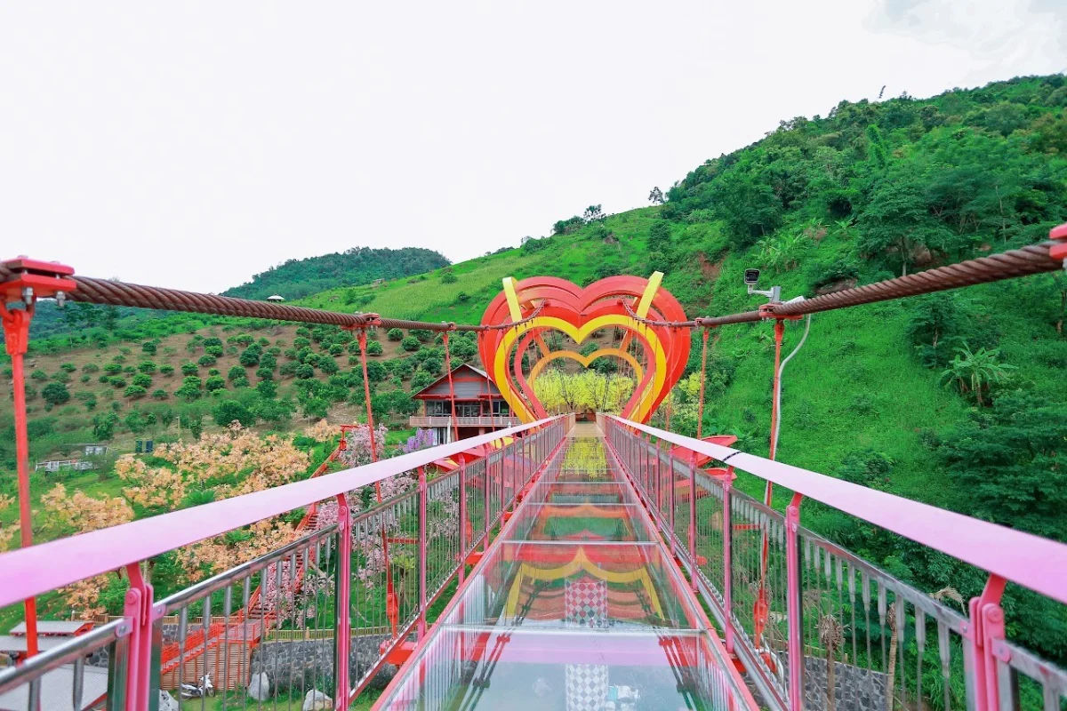 Love glass bridge in Moc Chau built high above valley with transparent floor