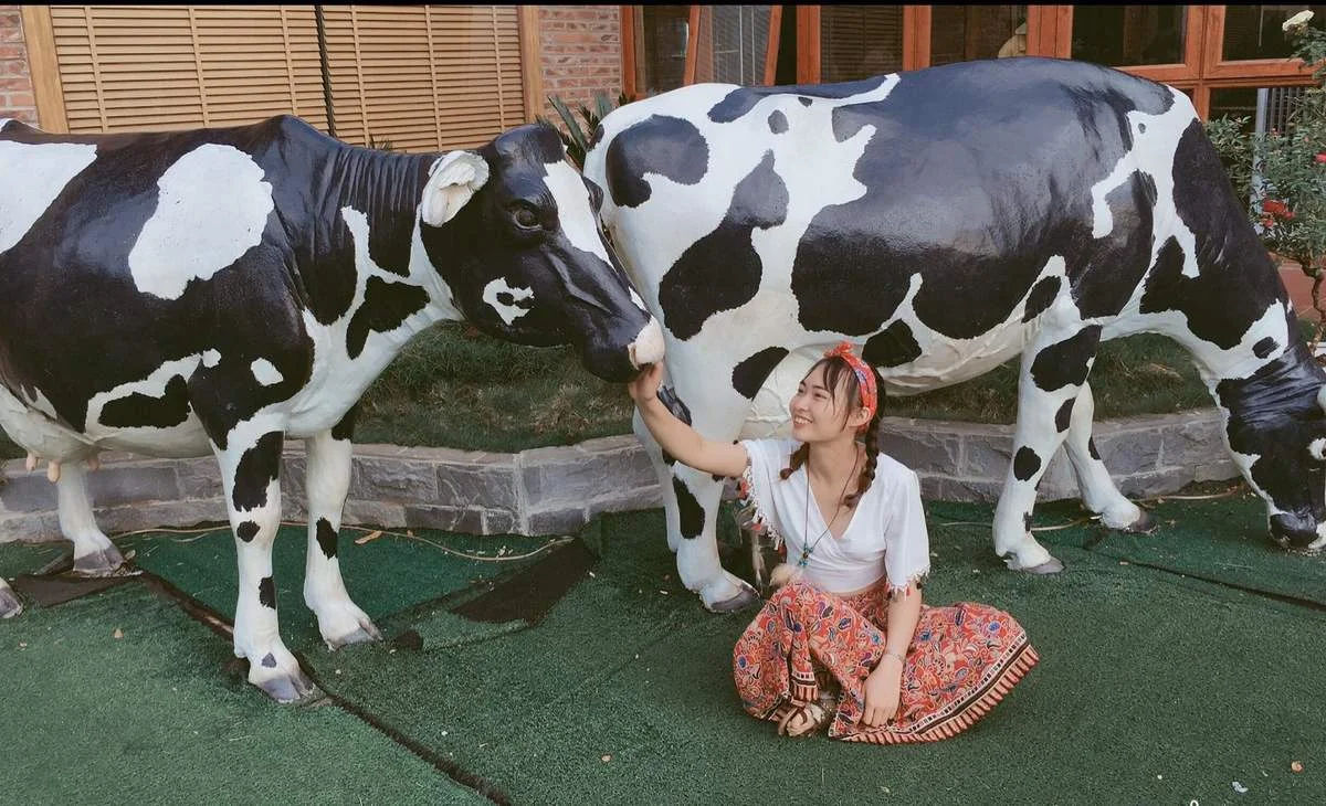 Visitors checking in at Moc Chau dairy farm beside iconic cow statue