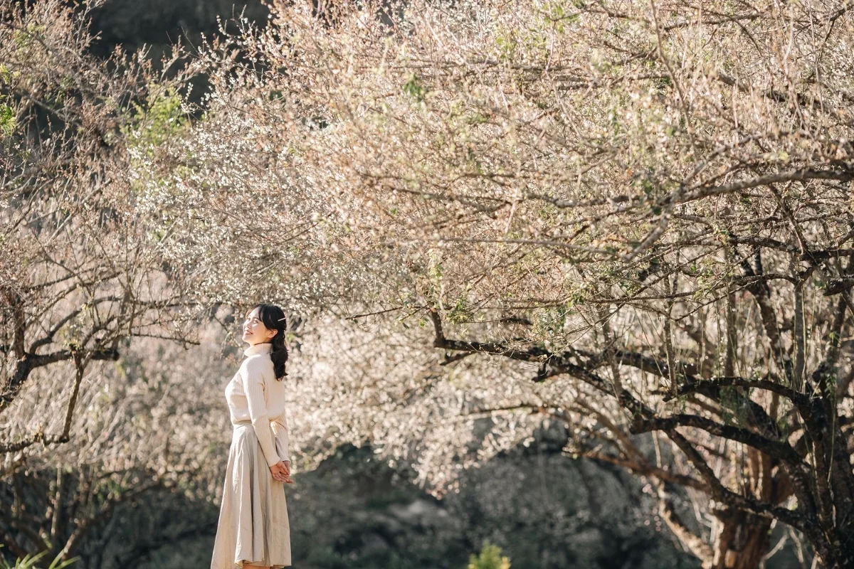 Traveler wearing thermal jacket checking in at Moc Chau plum valley