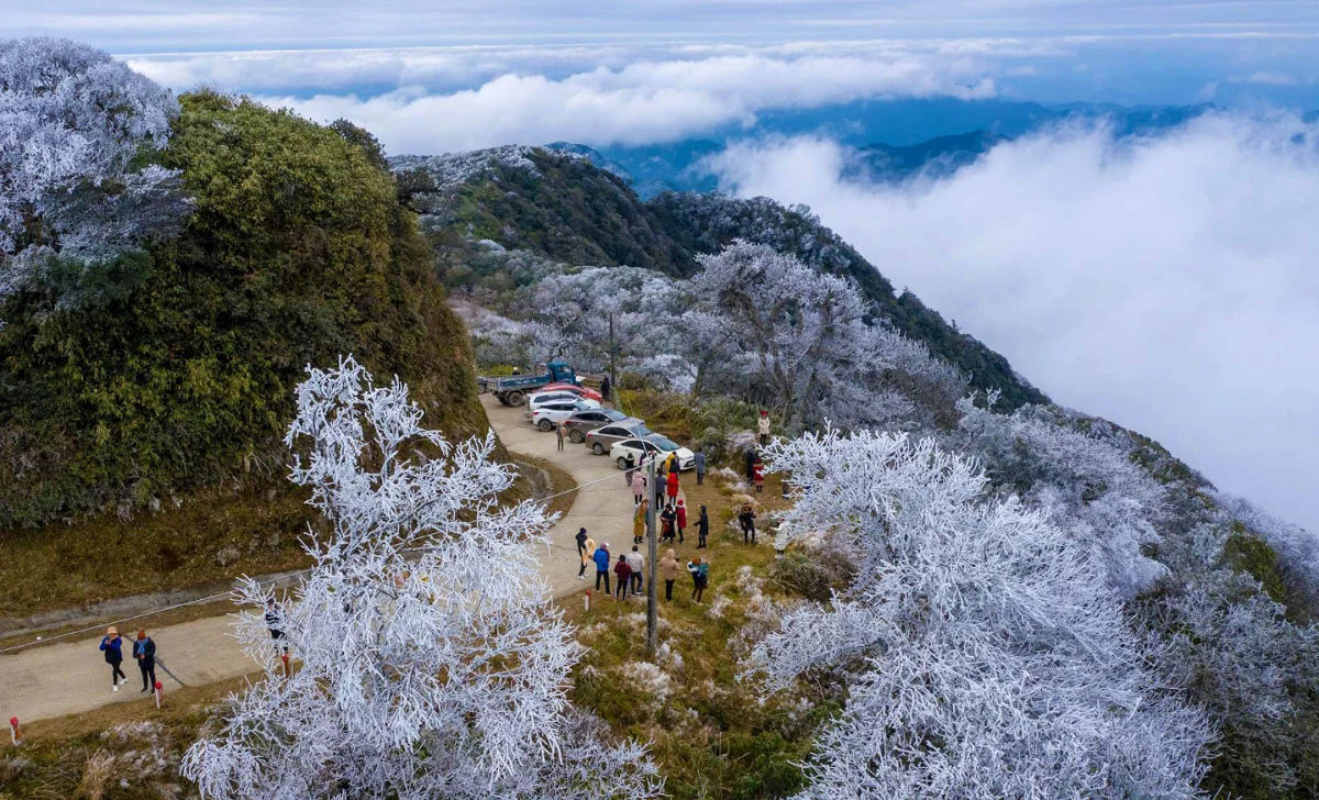 Frost covering trees on Phja Oac peak when temperatures drop below zero
