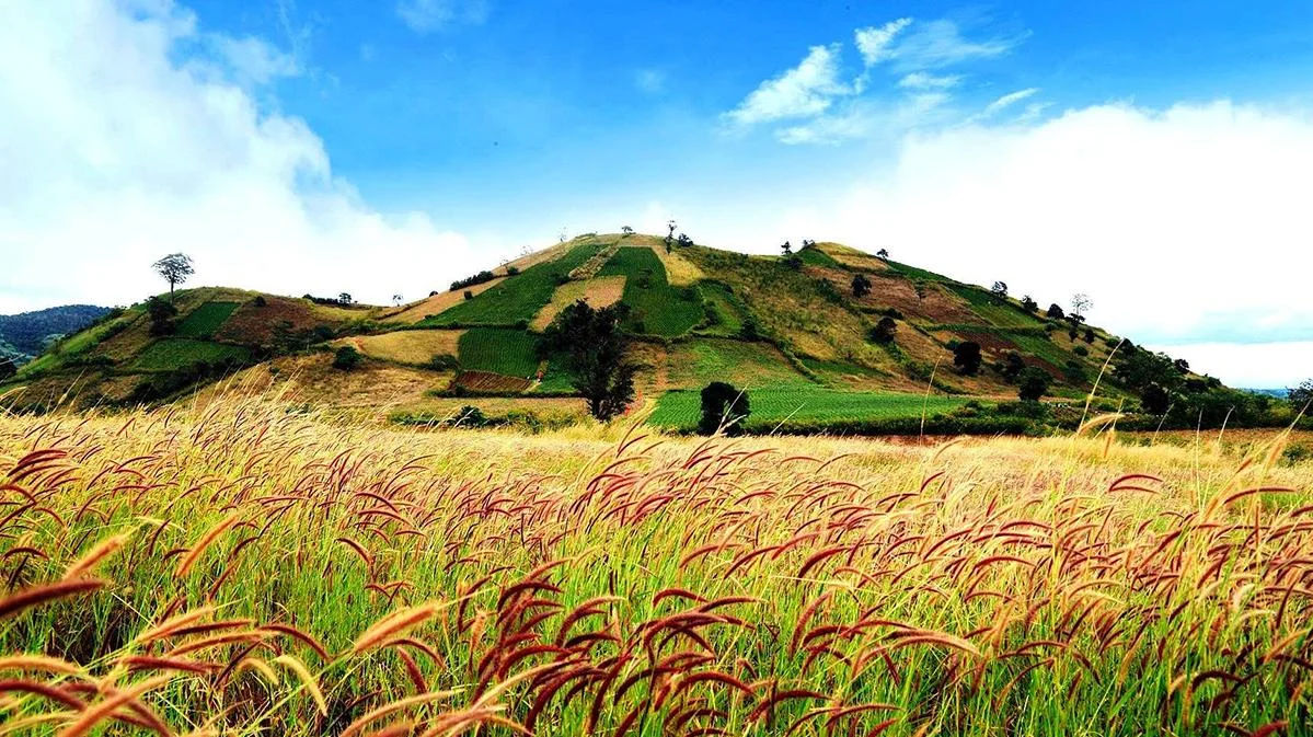 Panoramic natural scenery of Pleiku with vast grasslands and rolling hills