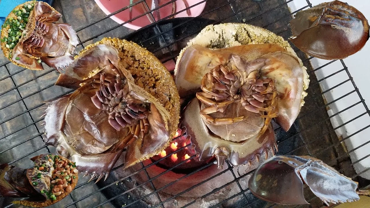 Grilled horseshoe crab on a charcoal grill in Cat Ba is prepared from local seafood from Hai Phong coastal waters