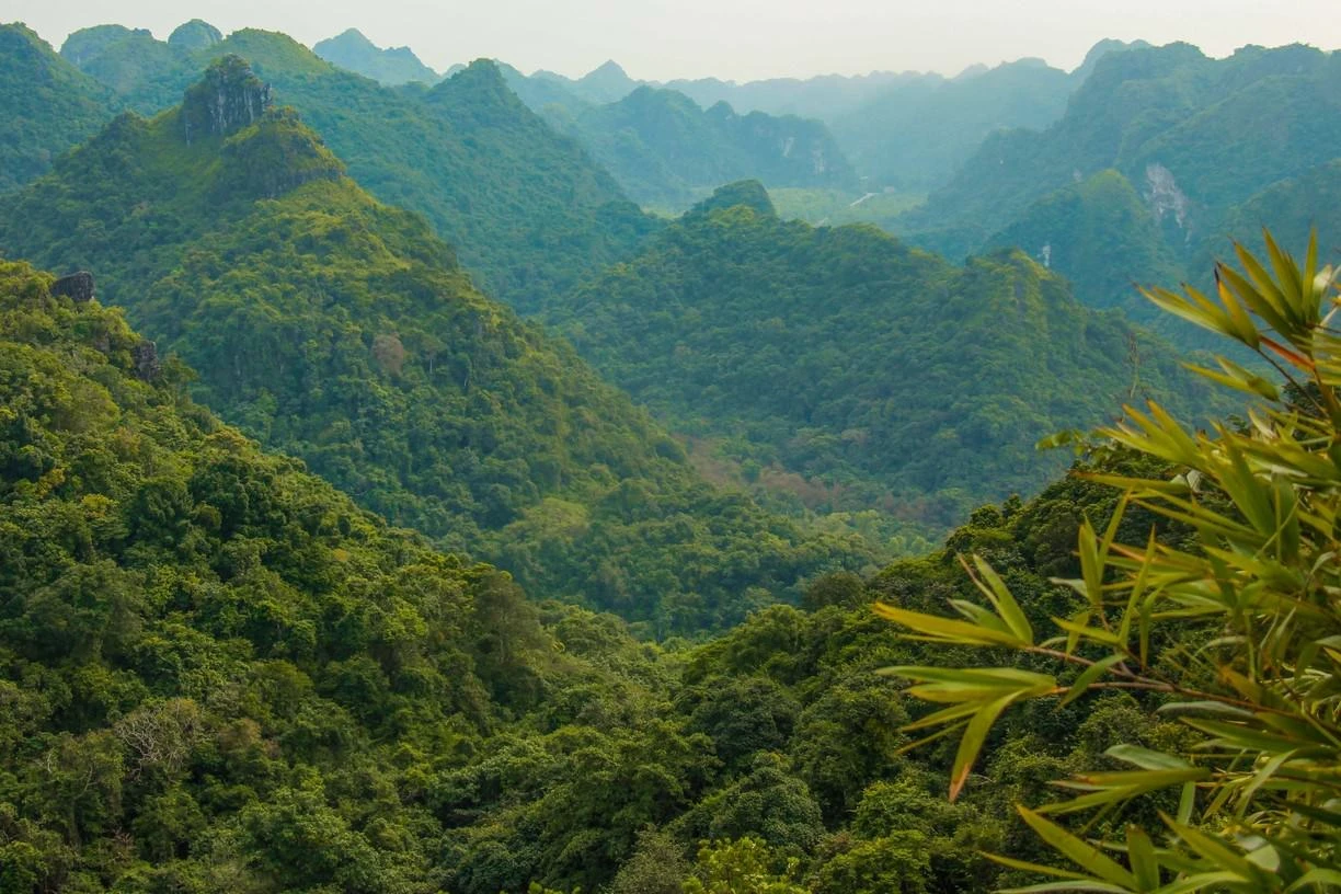 Cat Ba National Park is a destination for travelers who love wild nature
